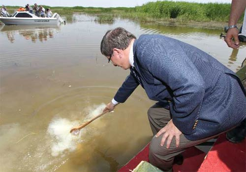 Davutoğlu barış için maya çaldı