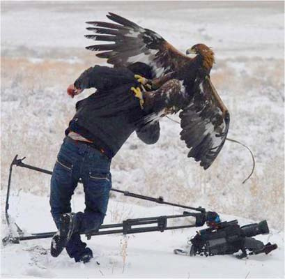 İşte Kartal'ın insana saldırma anı!