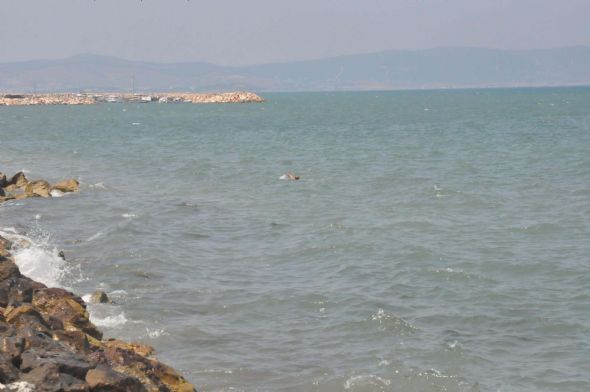 İzmir'de eğitim uçağı denize çakıldı
