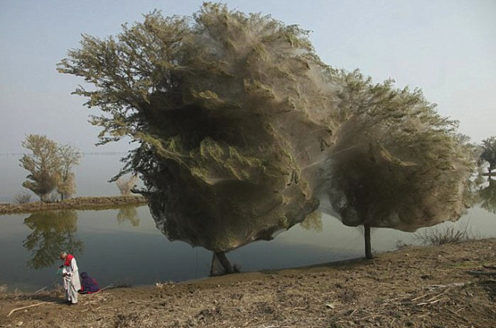 Günün en çok tıklanan fotoğrafları