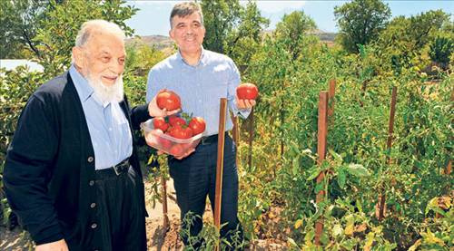 AK Partili vekil Gül'ün kitabını yazdı