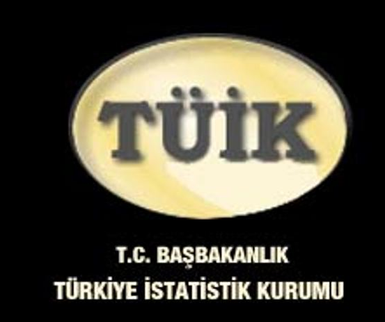 Türkler'i bu hastalıklar öldürdü