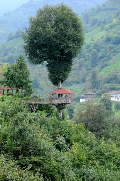 Karadeniz aklı bunu da yaptı!