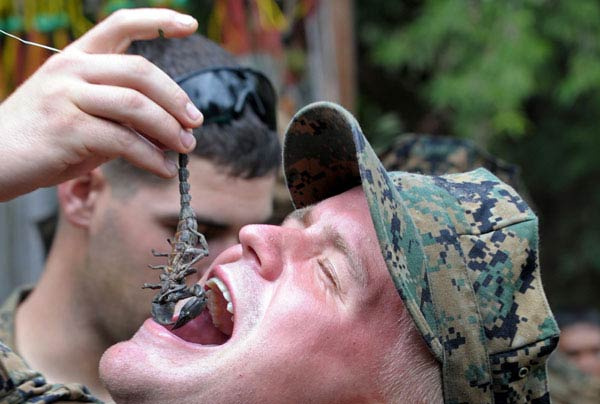 Askerin akrep ve yılan ile sınavı!