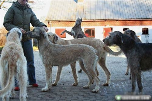 En çok tıklanan fotoğraf kazaları!