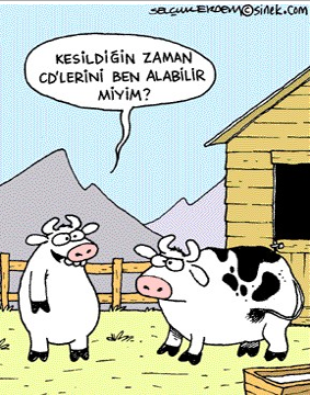 En komik kurban karikatürleri