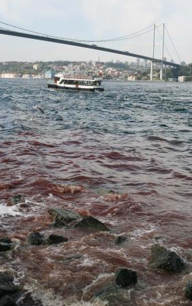 İstanbul boğazı kana bulandı