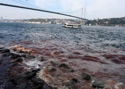 İstanbul boğazı kana bulandı