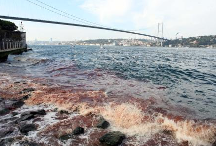 İstanbul boğazı kana bulandı