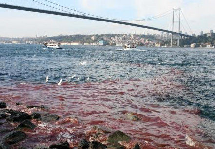 İstanbul boğazı kana bulandı