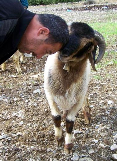 Kurban Bayramı'ndan komik kareler