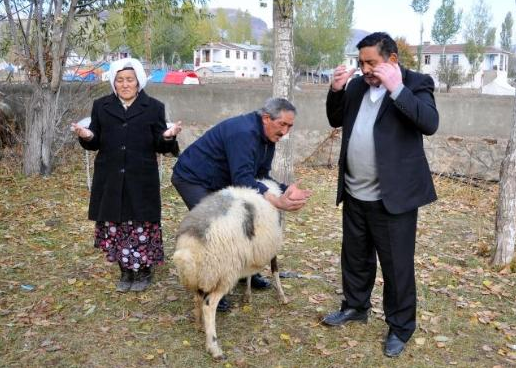 Kurban Bayramı'ndan komik kareler