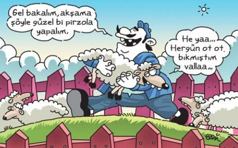 Günün en bomba karikatürleri