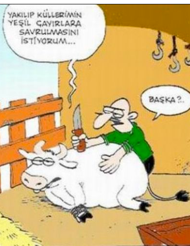 Günün en bomba karikatürleri