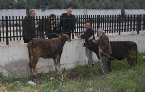 Yurdum insanından bayram manzaraları