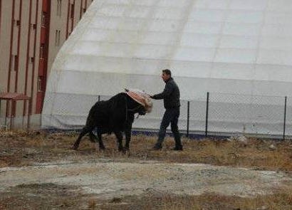 Yurdum insanından bayram manzaraları