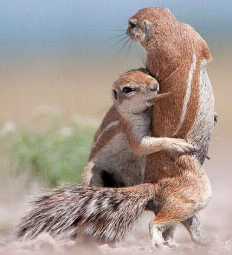 Birbirinden ilginç fotoğraf kareleri!