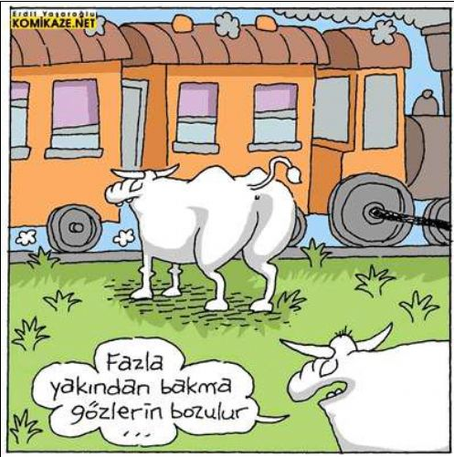 Günün en eğlenceli karikatürleri