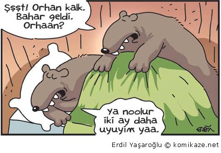 Günün bomba karikatürleri