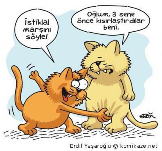 Günün en komik karikatürleri