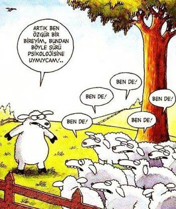 Günün en komik karikatürleri