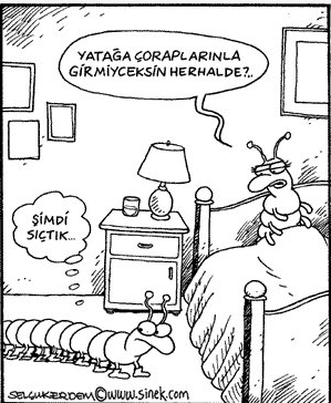 Günün en bomba karikatürleri