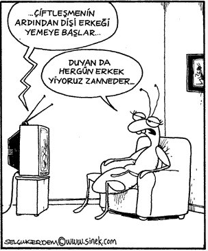 Günün en bomba karikatürleri