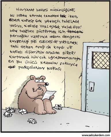 Günün en bomba karikatürleri