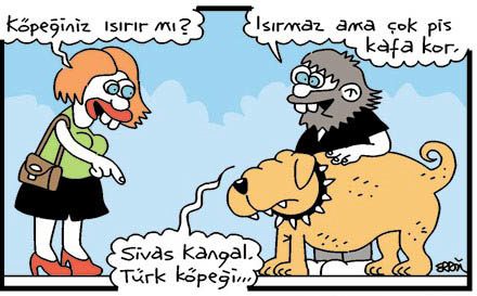 Günün en bomba karikatürleri