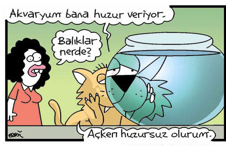 Günün en bomba karikatürleri