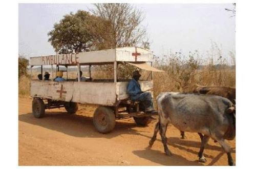 Afrika'dan gülümseten kareler