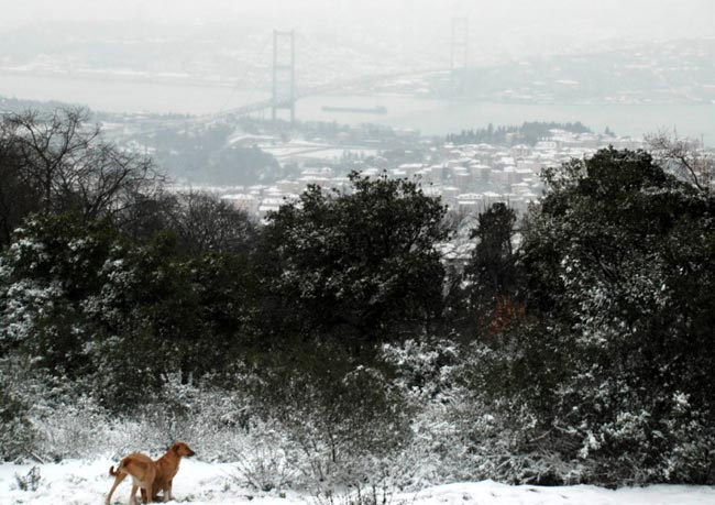 İstanbul bembeyaz!