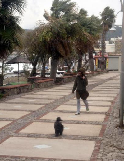 Bodrum'u fırtına böyle vurdu!