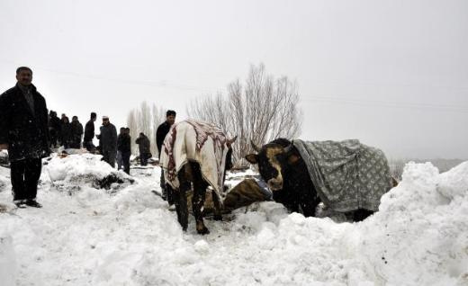 Bitlis'te kar hayatı felç etti!