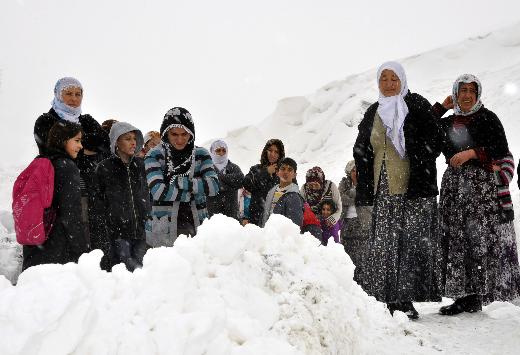 Bitlis'te kar hayatı felç etti!