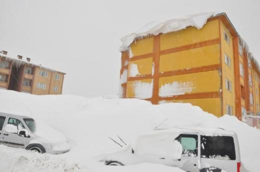 Bitlis'te kar hayatı felç etti!