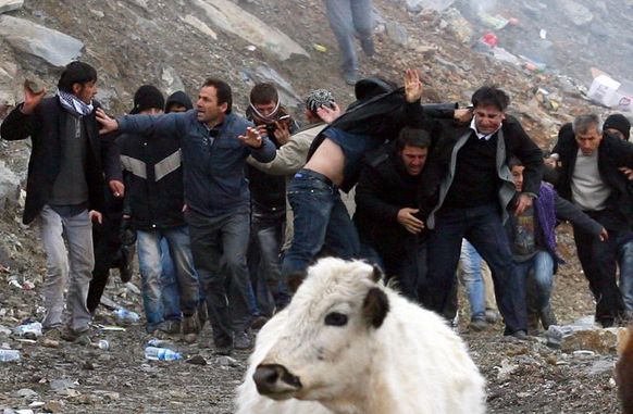 Yılın en bomba fotoğrafları