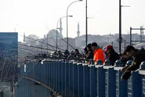 Bunların hepsi Türkiye'de bedava