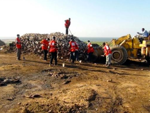 Kemik tarlasında Türk mucizesi