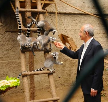 Kılıçdaroğlu onları elleriyle besledi