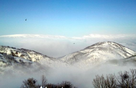 Şenyayla'da PKK operasyonu