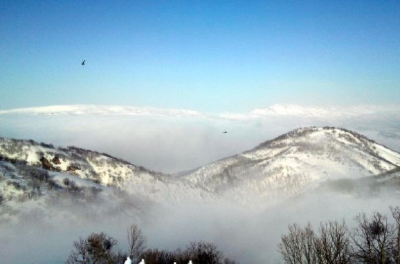 Şenyayla'da PKK operasyonu