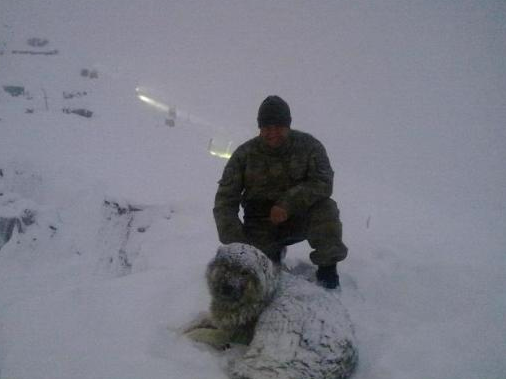 Şehit eşinin fotoğrafını hiç bırakmadı