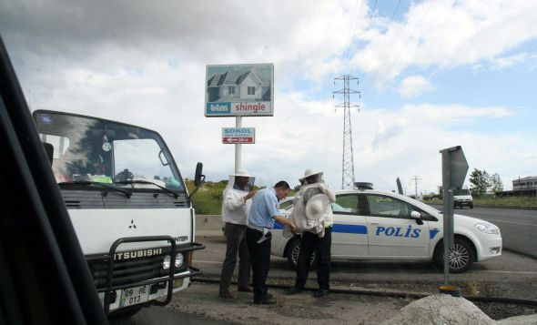 Arılar karayoluna saçıldı 