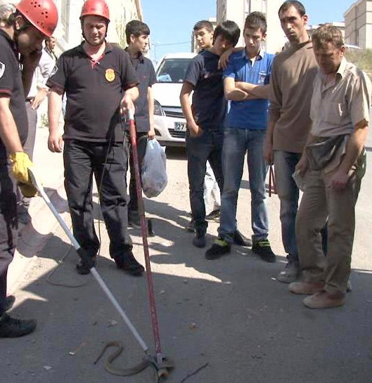 Otomobilden çıkana bakın!