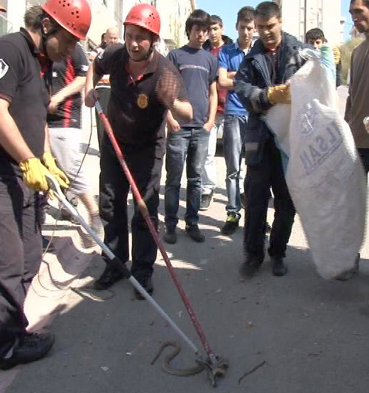 Otomobilden çıkana bakın!