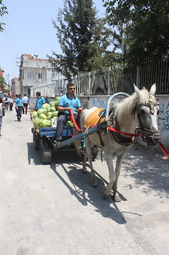 Parayı bozdurmaya giden karpuzcu geri gelmedi!