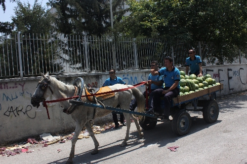 Parayı bozdurmaya giden karpuzcu geri gelmedi!