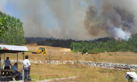 Dinamit yüklü kamyon patladı!