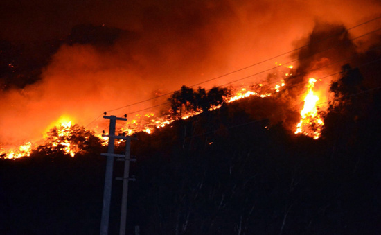 Datça'daki o yangın söndürüldü